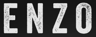 Enzo Clean logo