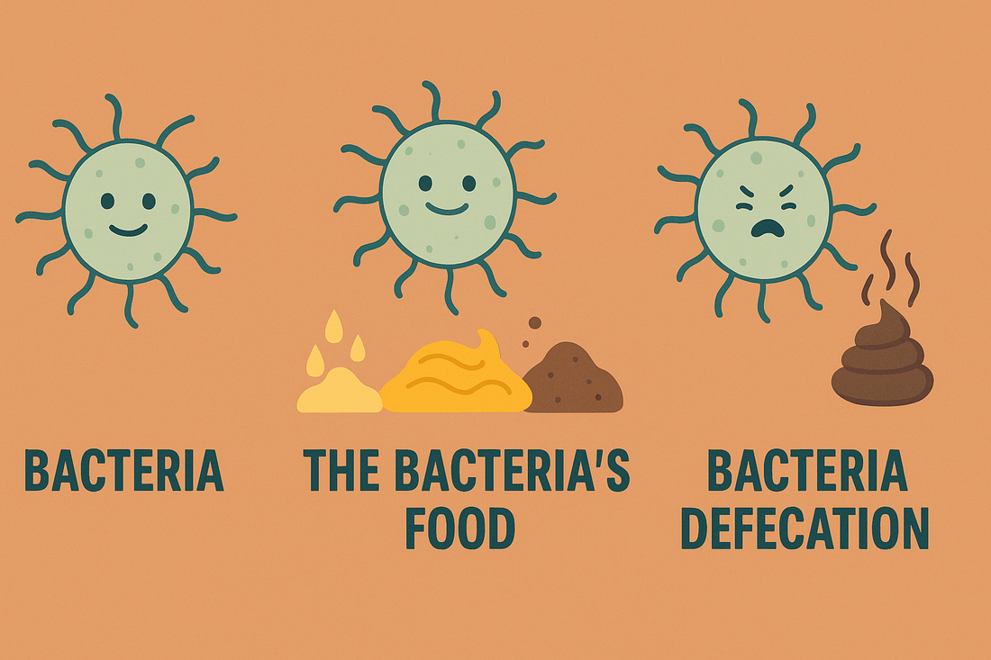 The Science of Stink